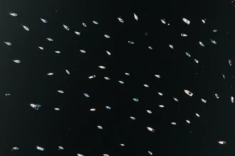 Aerial view of boats scattered across the water in Rio de Janeiro, Brazil, showcasing marine recreation.