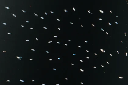 Aerial view of boats scattered across the water in Rio de Janeiro, Brazil, showcasing marine recreation.