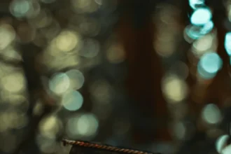 Close-up of a vintage padlock on a wooden board, surrounded by mysterious symbols in a forest setting.