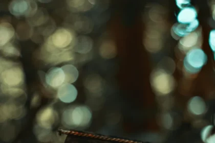 Close-up of a vintage padlock on a wooden board, surrounded by mysterious symbols in a forest setting.